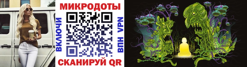 omg   Голицыно  Галлюциногенные грибы Psilocybine cubensis 